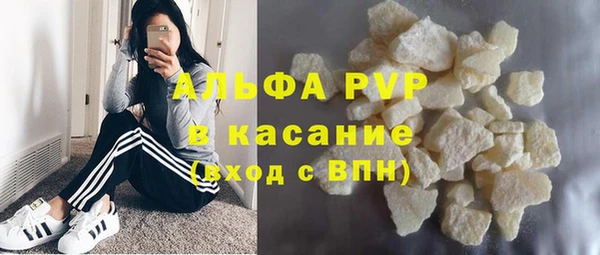 стаф Новозыбков